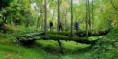 /album/batum/dns-tour-5-jpg/